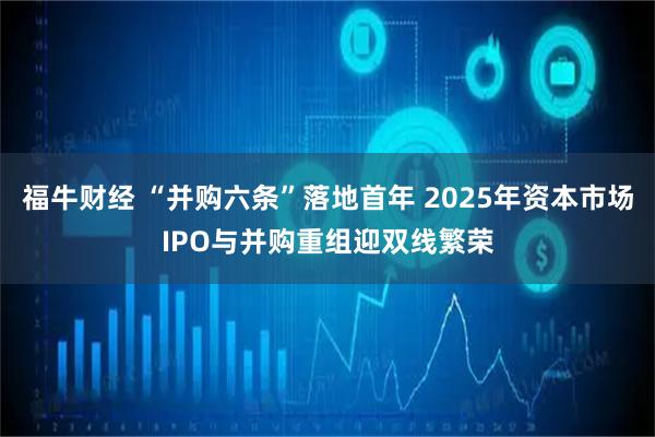 福牛财经 “并购六条”落地首年 2025年资本市场IPO与并购重组迎双线繁荣
